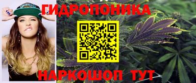 гидра Ковров