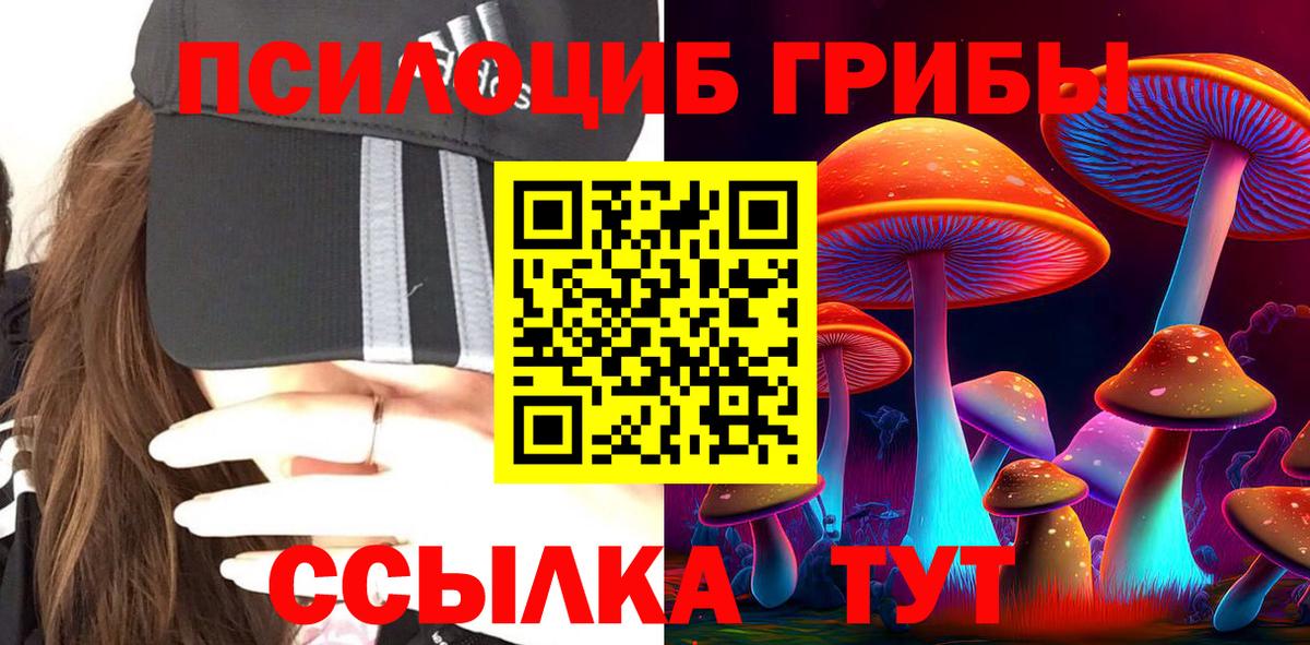 Галлюциногенные грибы Psilocybe Борзя