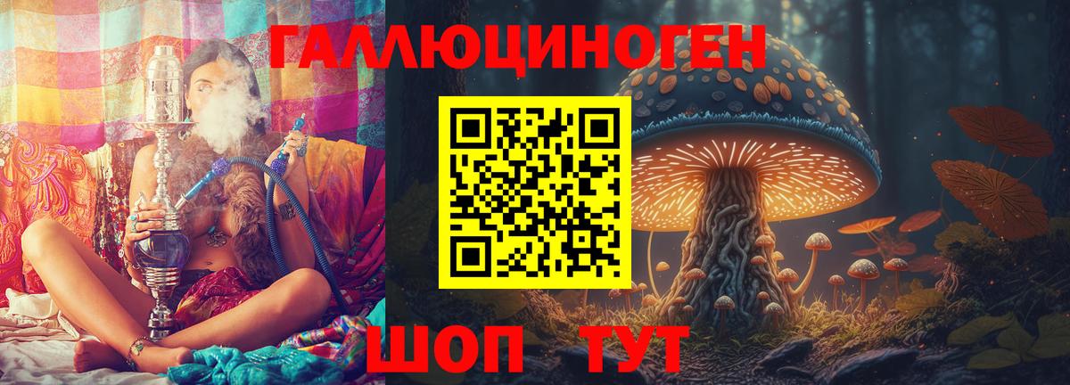 где купить наркоту  Псилоцибиновые грибы ЛСД  Вход с VPN  Борзя 